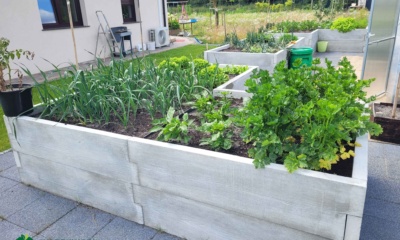 podwyzszona grządka